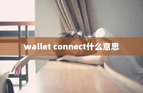 wallet connect什么意思