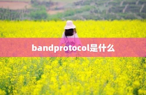 bandprotocol是什么