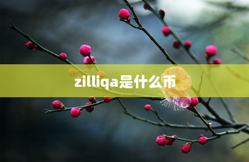 zilliqa是什么币
