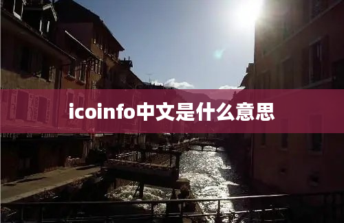 icoinfo中文是什么意思