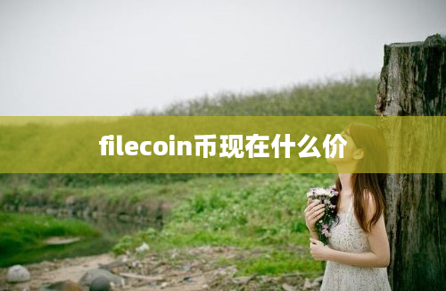 filecoin币现在什么价