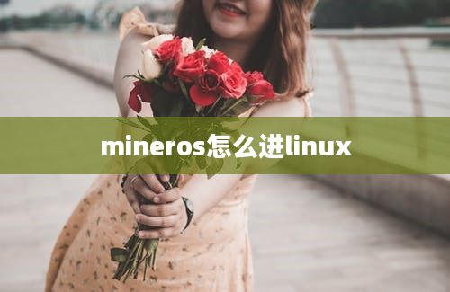 mineros怎么进linux