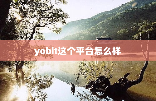 yobit这个平台怎么样