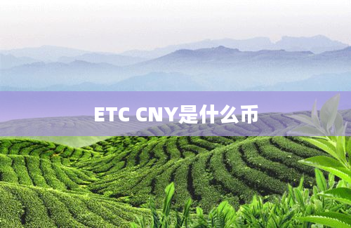 ETC CNY是什么币