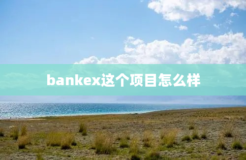 bankex这个项目怎么样