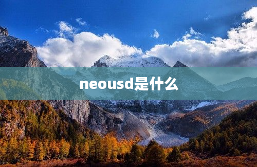 neousd是什么