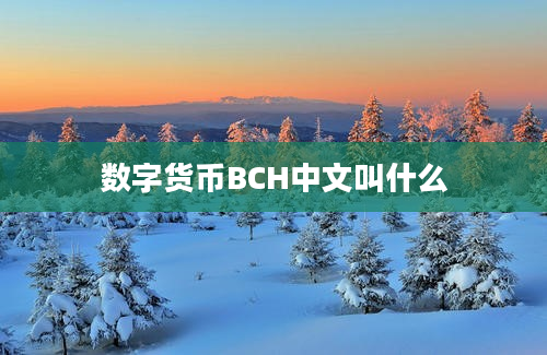数字货币BCH中文叫什么
