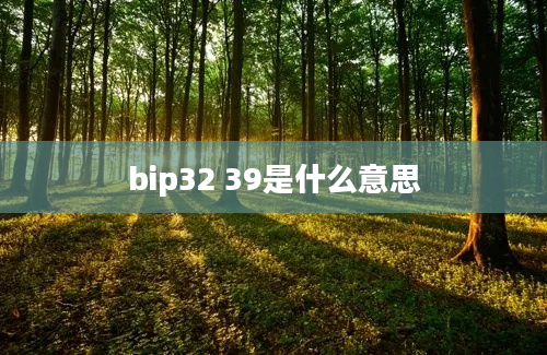 bip32 39是什么意思