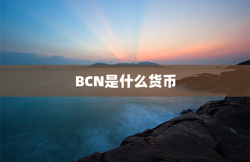 BCN是什么货币
