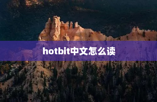 hotbit中文怎么读