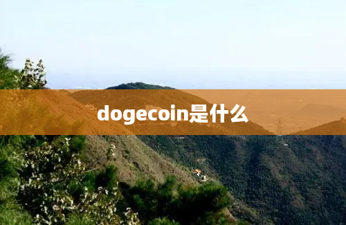 dogecoin是什么