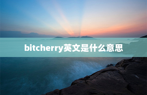 bitcherry英文是什么意思