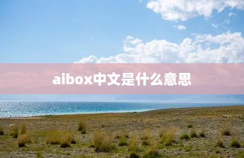 aibox中文是什么意思