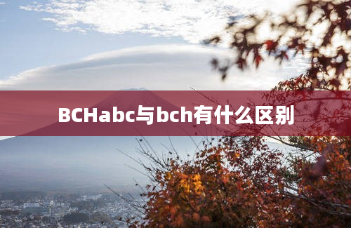 BCHabc与bch有什么区别