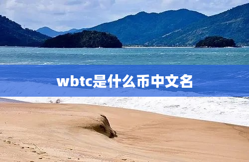 wbtc是什么币中文名