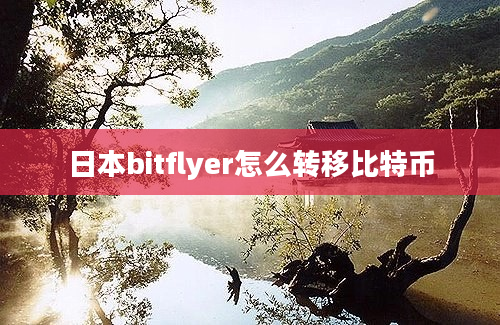 日本bitflyer怎么转移比特币