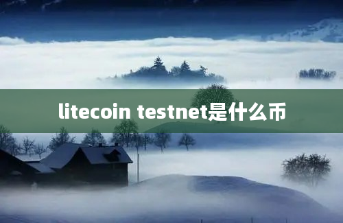 litecoin testnet是什么币