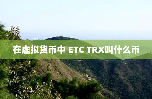 在虚拟货币中 ETC TRX叫什么币