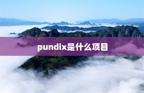pundix是什么项目