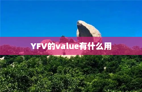 YFV的value有什么用