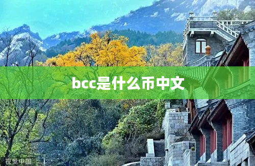 bcc是什么币中文