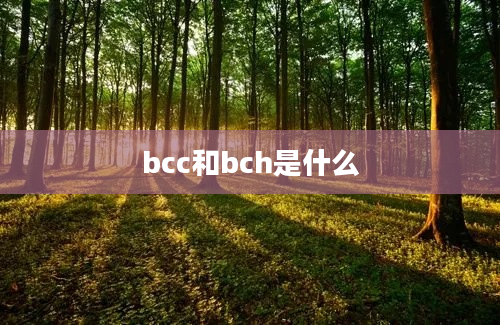 bcc和bch是什么