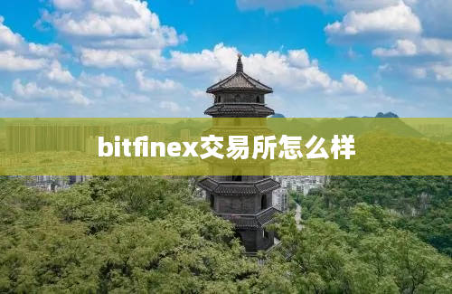 bitfinex交易所怎么样