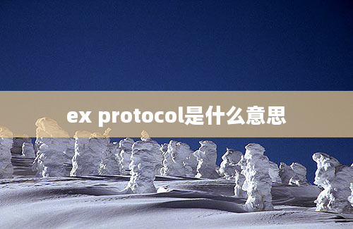 ex protocol是什么意思