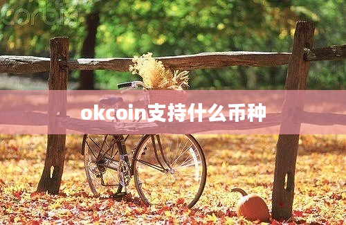 okcoin支持什么币种