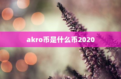akro币是什么币2020