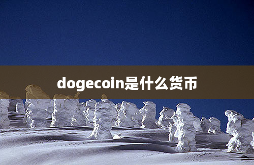 dogecoin是什么货币
