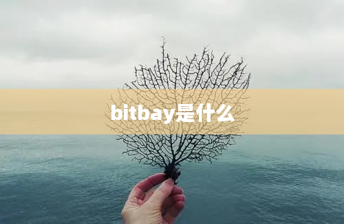 bitbay是什么