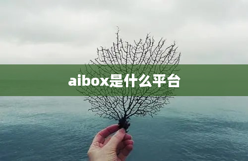 aibox是什么平台