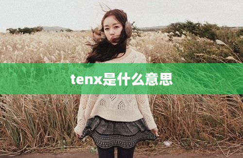tenx是什么意思