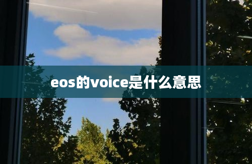 eos的voice是什么意思