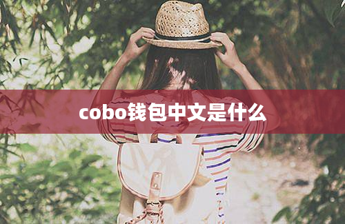 cobo钱包中文是什么