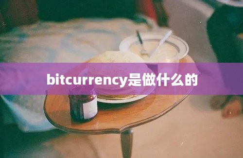 bitcurrency是做什么的