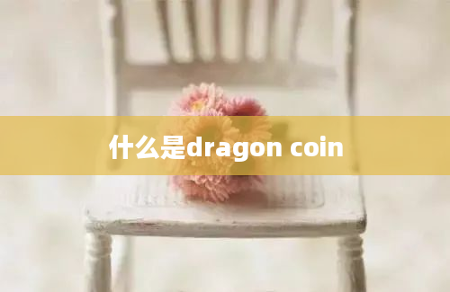什么是dragon coin