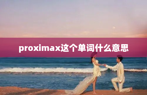 proximax这个单词什么意思