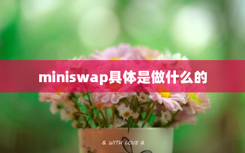 miniswap具体是做什么的