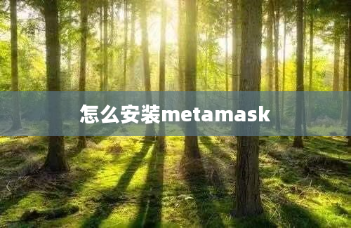 怎么安装metamask