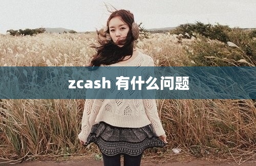 zcash 有什么问题