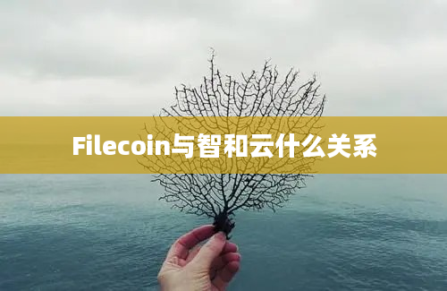 Filecoin与智和云什么关系