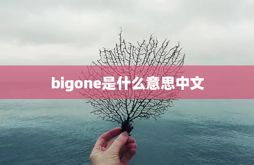 bigone是什么意思中文