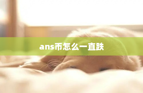 ans币怎么一直跌