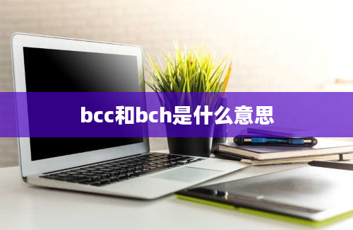 bcc和bch是什么意思