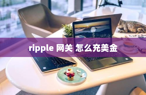 ripple 网关 怎么充美金