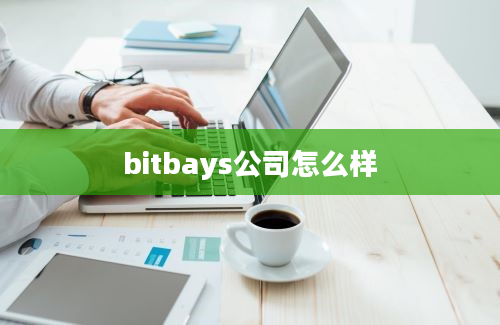 bitbays公司怎么样