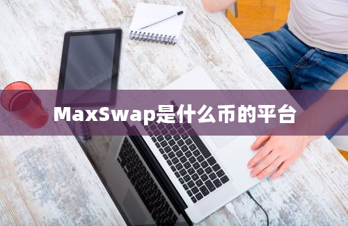 MaxSwap是什么币的平台