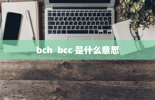 bch  bcc 是什么意思